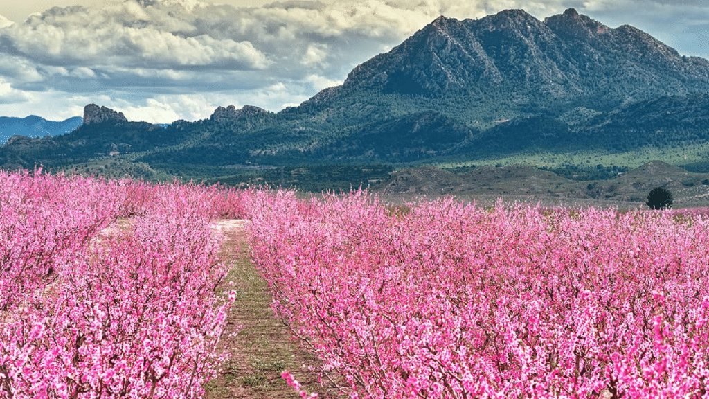 Los paisajes más mágicos de España