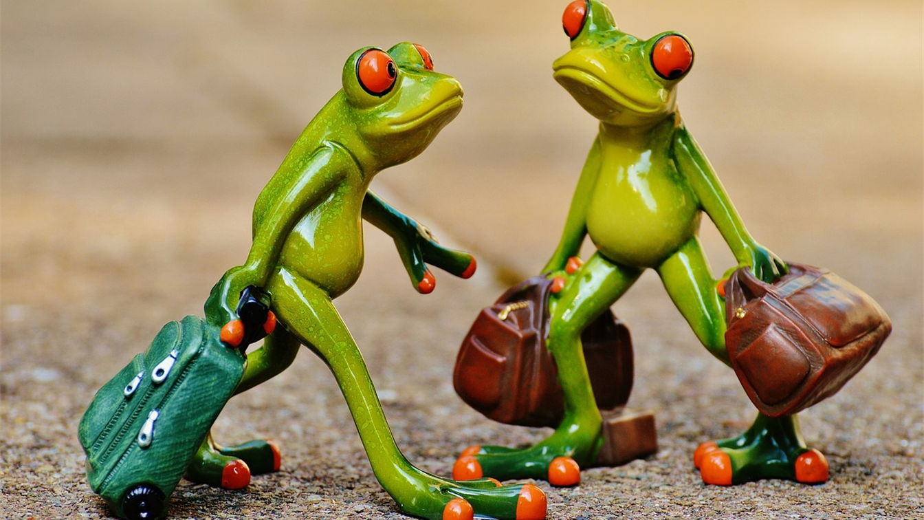 Dos figuras de ranas viajeras con maletas