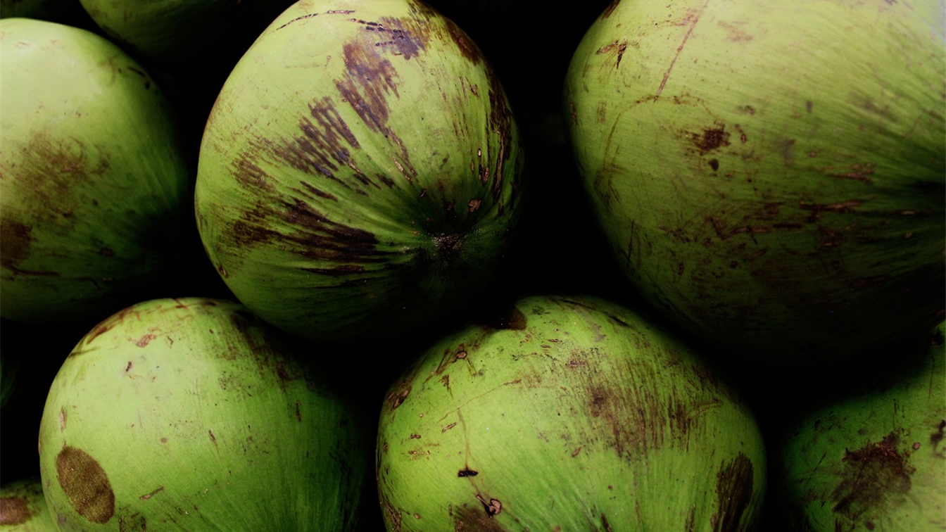 Cocos verdes apilados en un mercado del Caribe